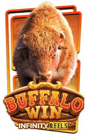 Buffalo Win