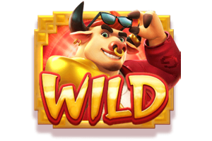 สัญลักษณ์ Wild FO