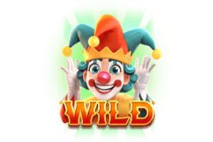 สัญลักษณ์ Wild CD